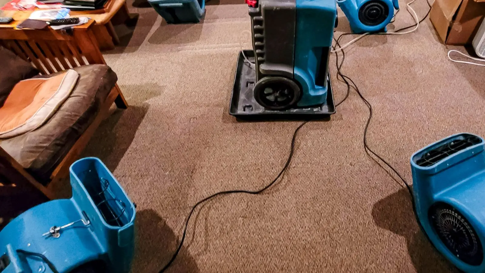 Blue air movers and a dehumidifier drying a wet carpeted living room